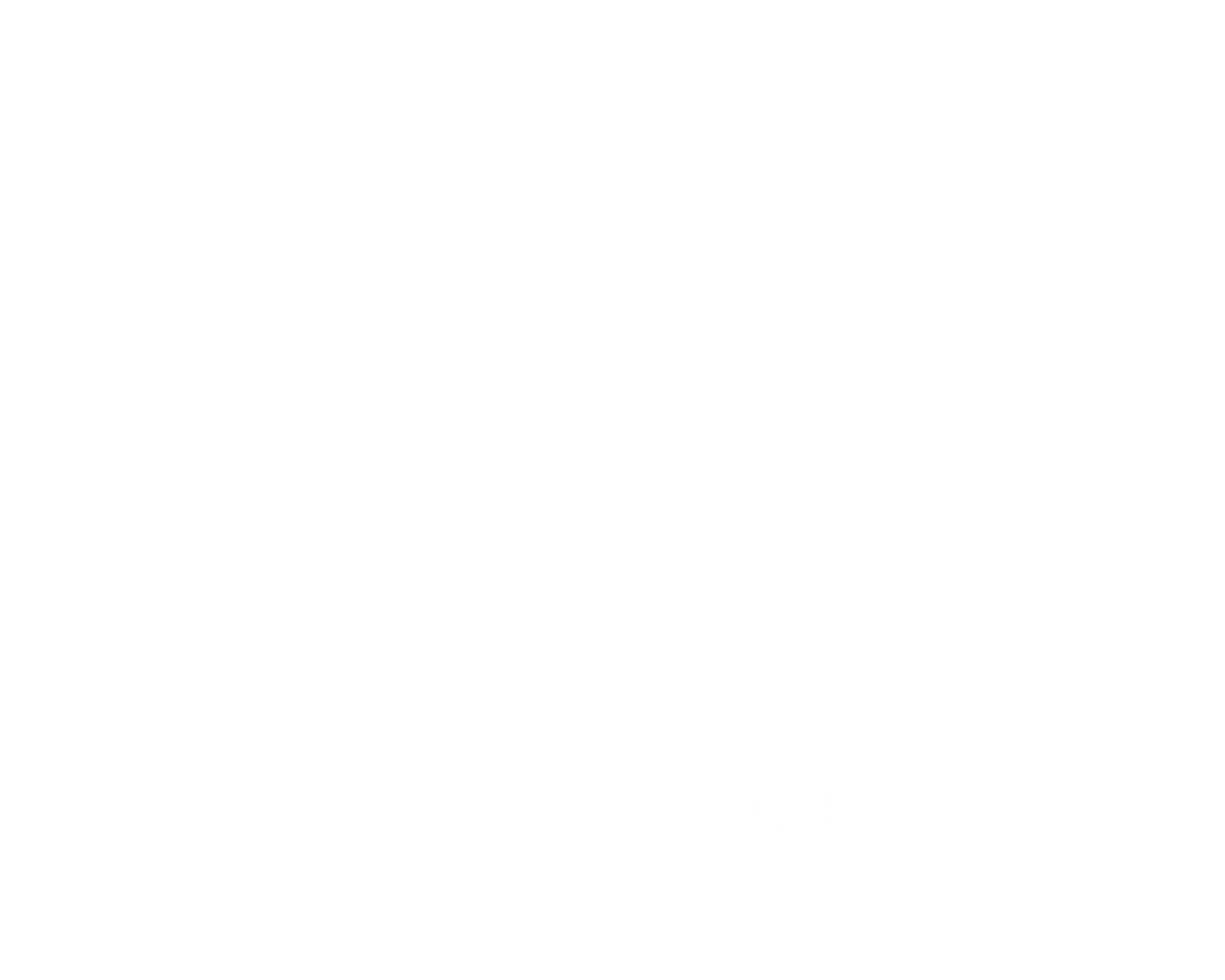 Bonavida Project Logo